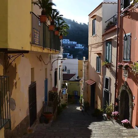 Antonella Apartment