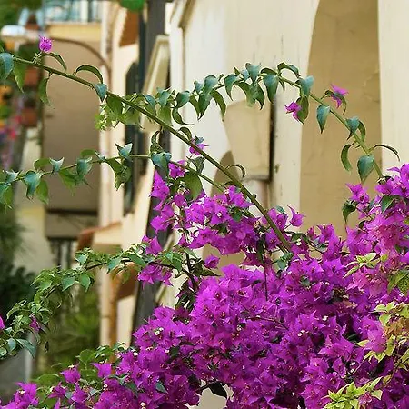 Apartment Antonella *