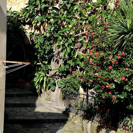 Apartment Antonella *